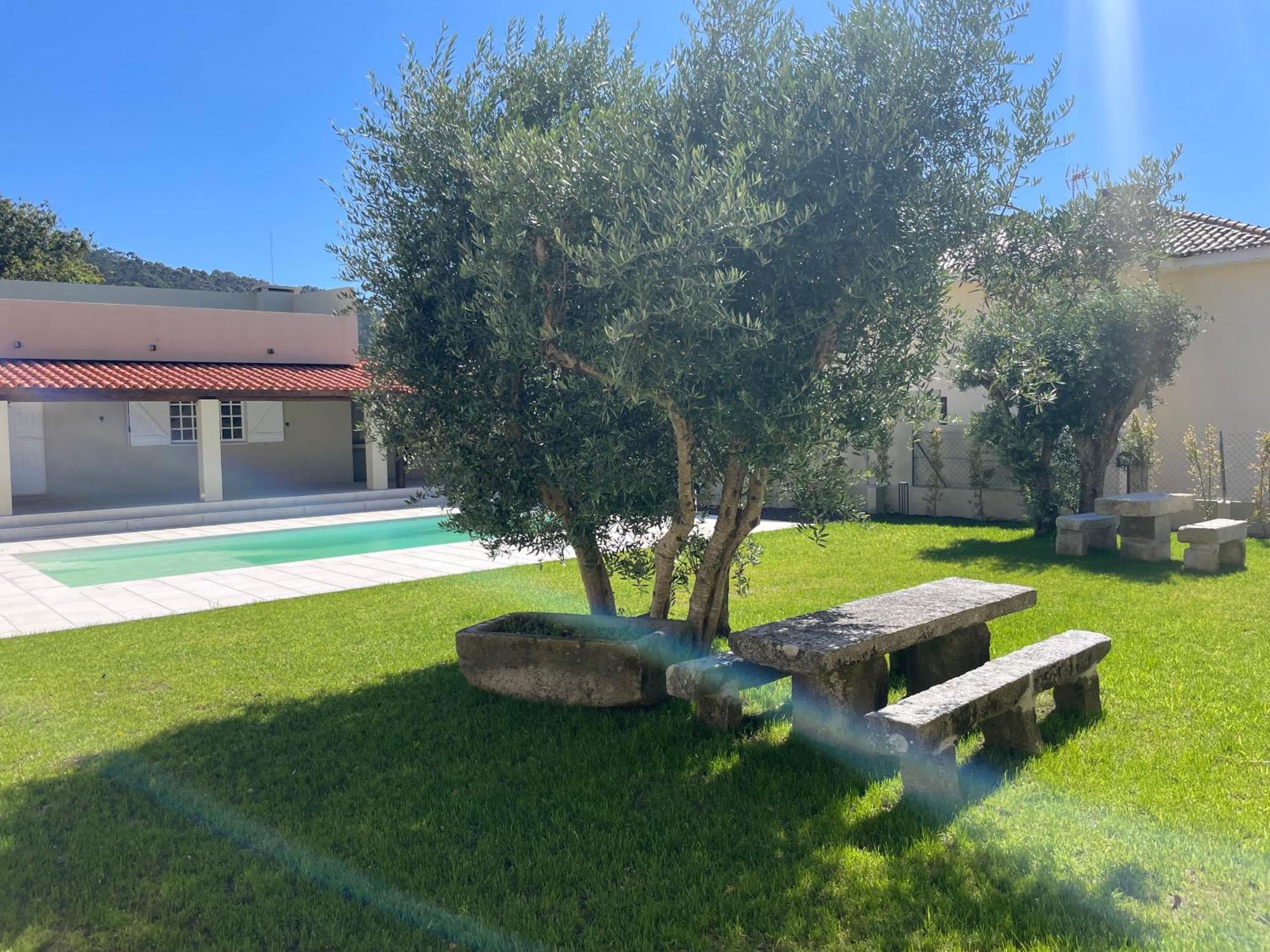 3 Olives House - By 3 Marias Residence Santana  Εξωτερικό φωτογραφία