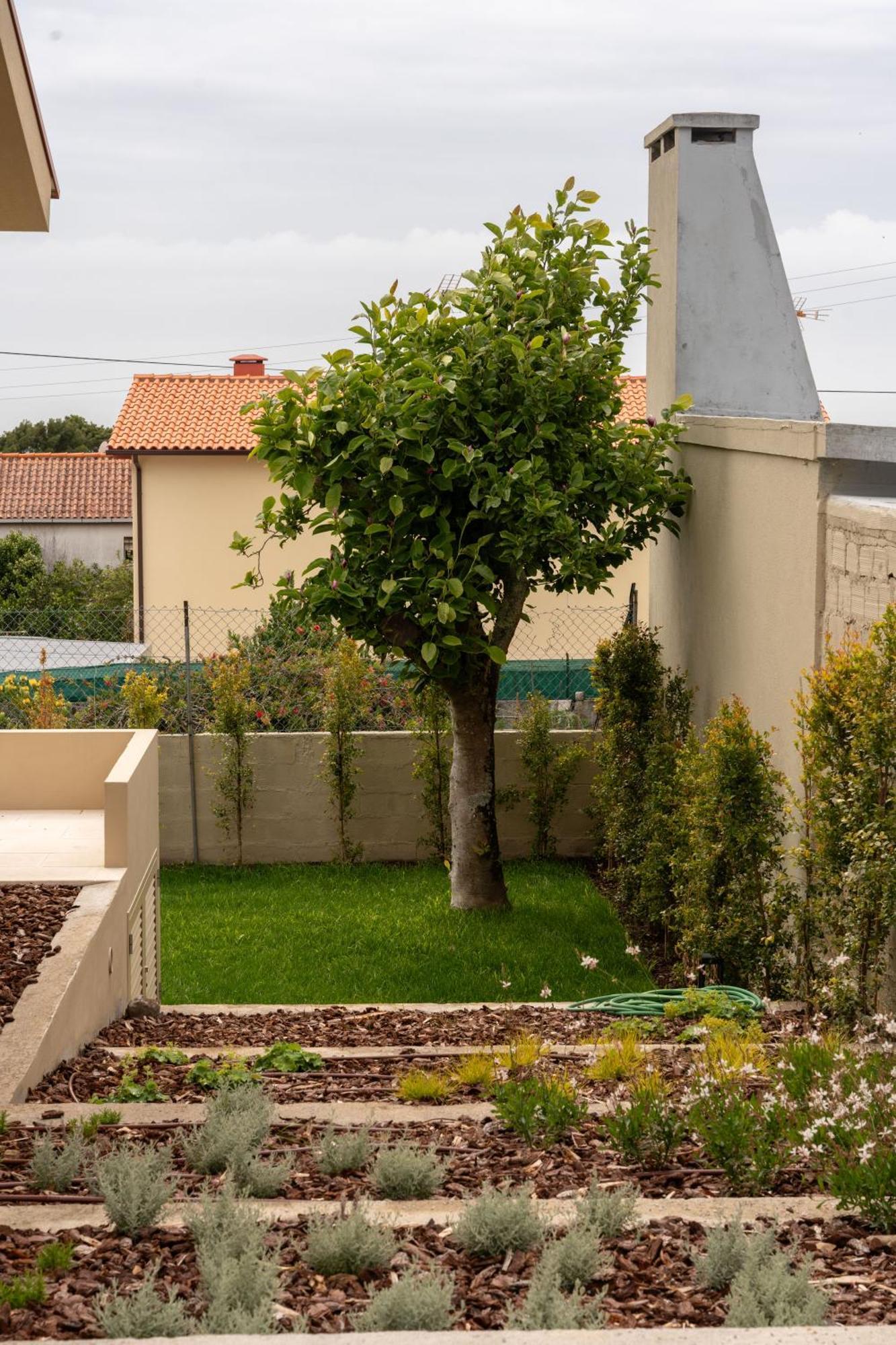 3 Olives House - By 3 Marias Residence Santana  Εξωτερικό φωτογραφία